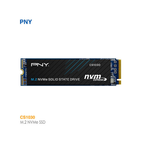 حافظه اس اس دی CS1030 M.2 NVMe پی ان وای